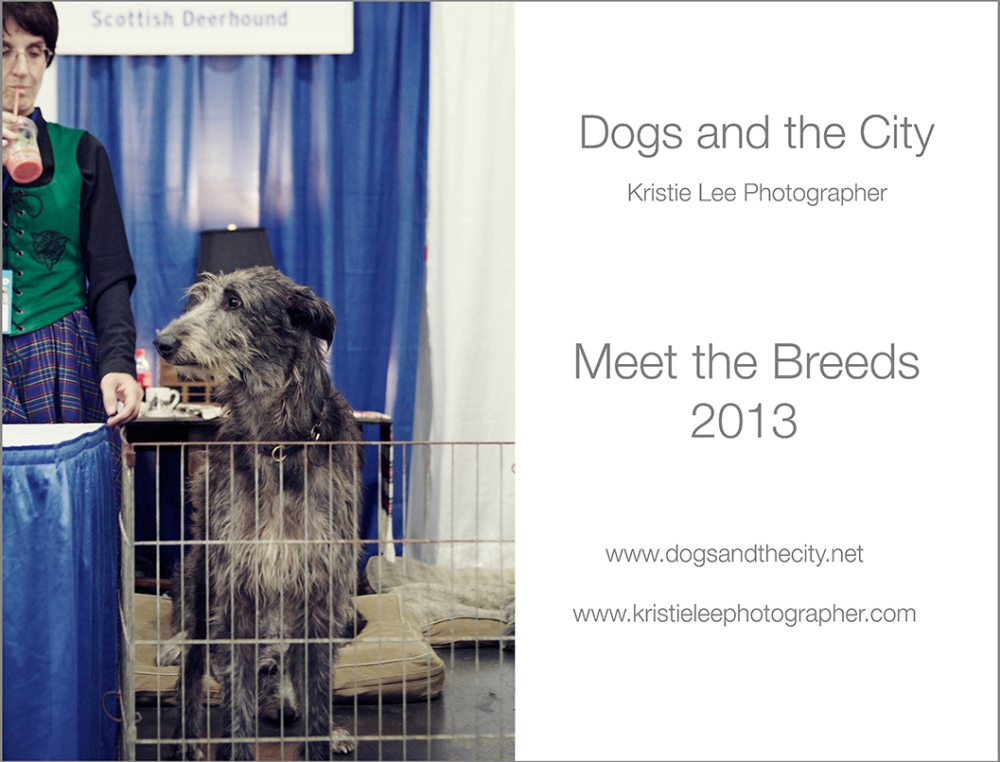 1 Meet the breeds 2013