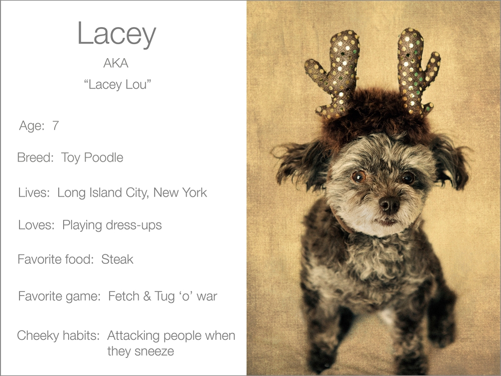 Lacey profile  Kristie Lee Photographer