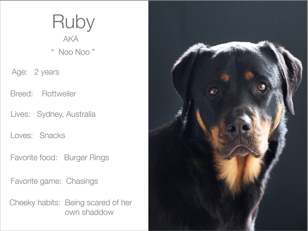 Ruby profile dogs_and_the_city kristie_lee_photographer